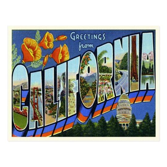 Vintage California Postcard