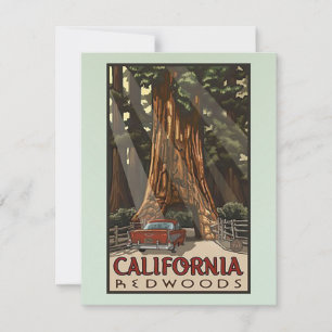 Vintage California Redwoods Travel Note Card