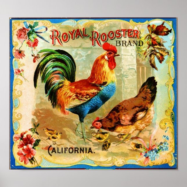 Vintage California Royal Rooster Poster (Front)