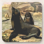 Vintage California Sea Lions by CE Swan Beverage Coaster