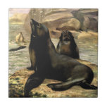 Vintage California Sea Lions by CE Swan Ceramic Tile