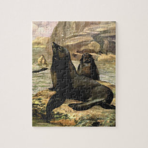 Vintage California Sea Lions by CE Swan Jigsaw Puzzle