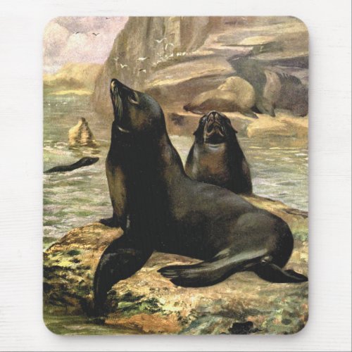 Vintage California Sea Lions by CE Swan Mouse Pad