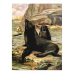 Vintage California Sea Lions by CE Swan Poster