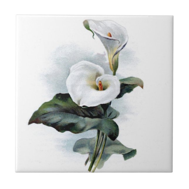 Vintage calla lily ceramic tile (Front)