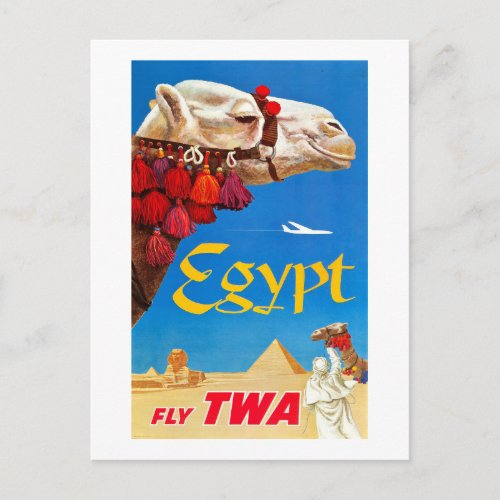 Vintage Camel and Pyramids Postcard