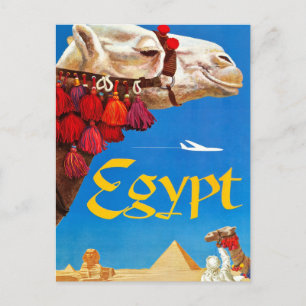 Vintage Camel and Pyramids Postcard