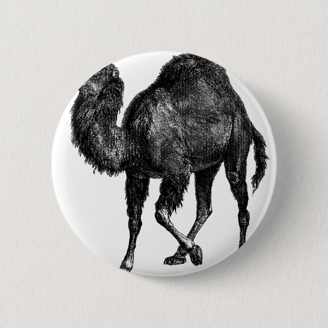 Vintage Camel Button (Front)