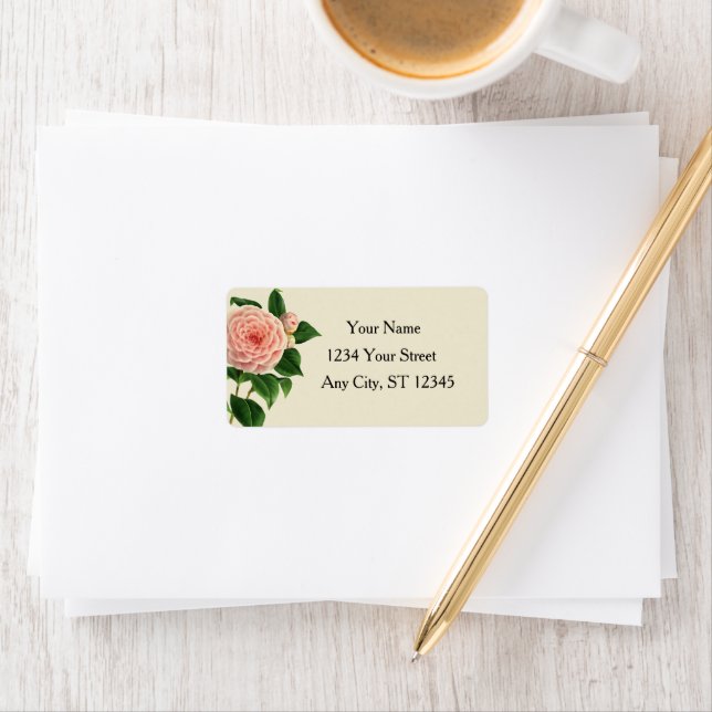 Vintage Camellia Botanical Label (Insitu)