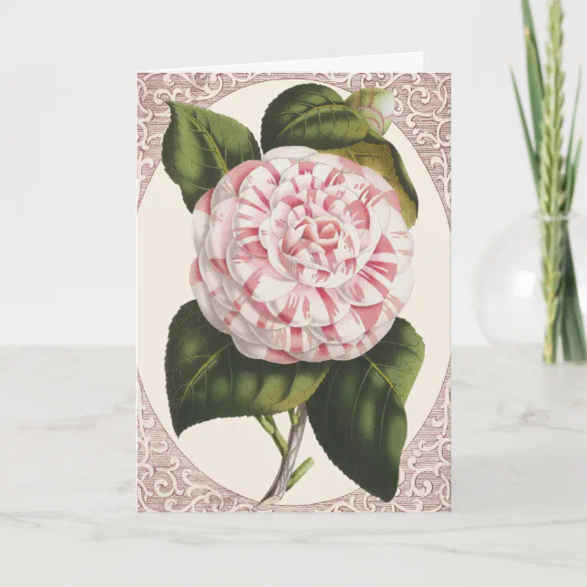 Vintage Camellia Elegant Thank You | Zazzle