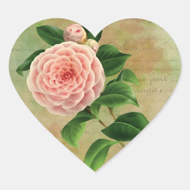 Vintage Camellia French Botanical Heart Sticker (Front)