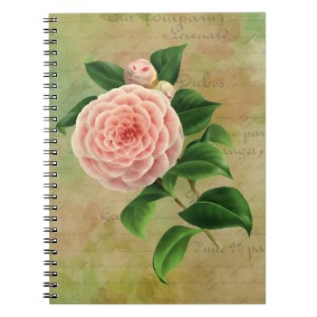 Vintage Camellia French Botanical Notebook by encore_arts at Zazzle