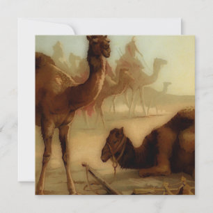 Vintage camels in the desert 