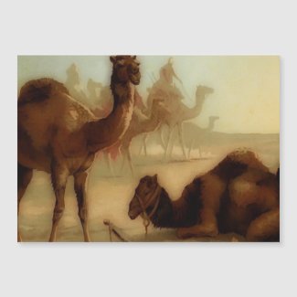 Vintage camels in the desert