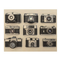Vintage Cameras Retro Old Classic