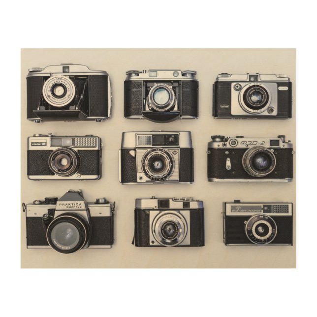 Vintage Cameras Retro Old Classic Wood Wall Art (Front)