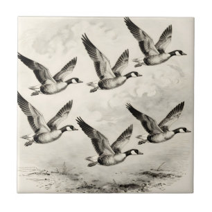 Vintage Canada Geese in Flight Engraving Ceramic Tile
