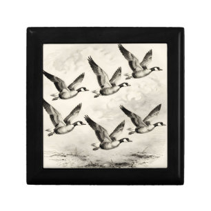 Vintage Canada Geese in Flight Engraving Gift Box