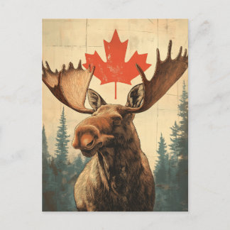 Vintage Canadian elk Postcard
