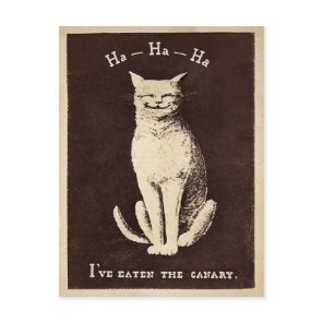 Vintage Canary Cat Postcard