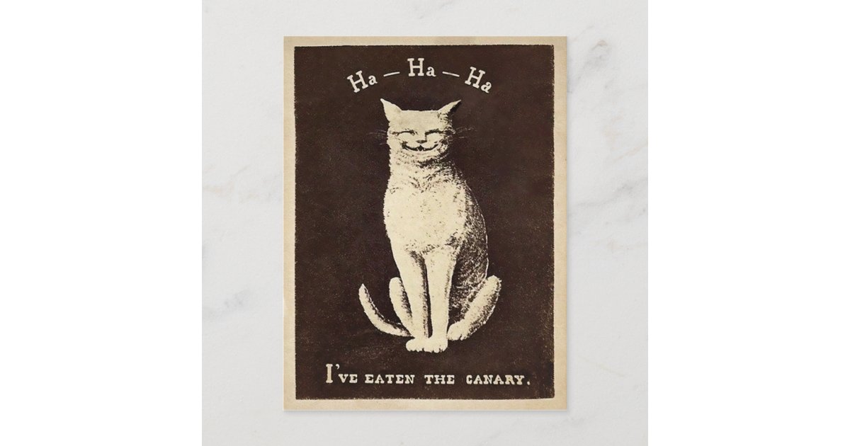 Vintage Canary Cat Postcard | Zazzle