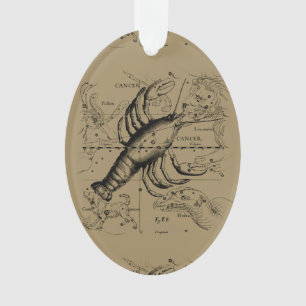 Vintage Cancer Constellation Map Hevelius 1690 Ornament