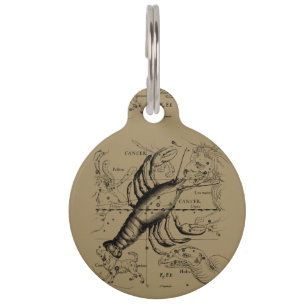 Vintage Cancer Constellation Map Hevelius 1690 Pet Name Tag