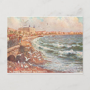 Vintage Cannes France Postcard