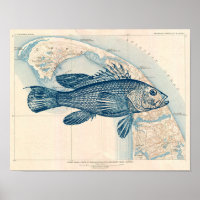 Vintage Cape Cod map with Fish Sea bass