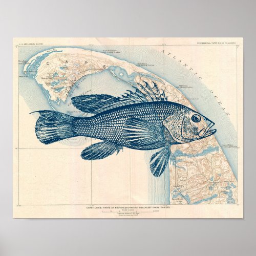 Vintage Cape Cod map with Fish Sea bass Poster