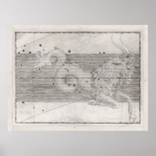 Vintage Capricorn Astrology Constellation Map (165 Poster