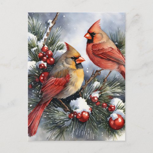Vintage Cardinal Birds Christmas Family Photo Postcard