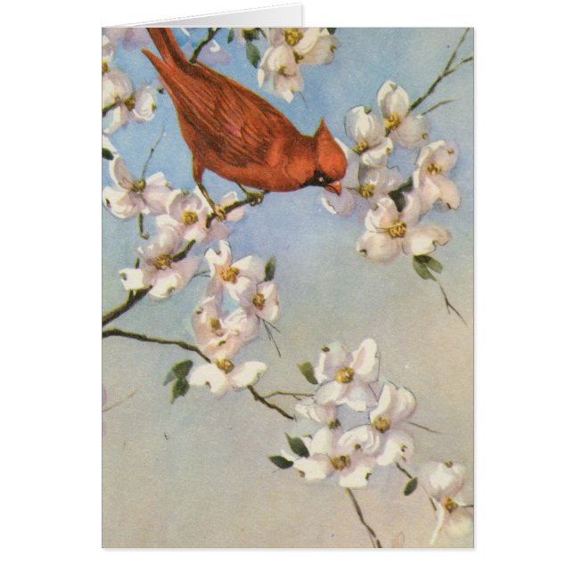 Vintage Cardinal Cards (Front)