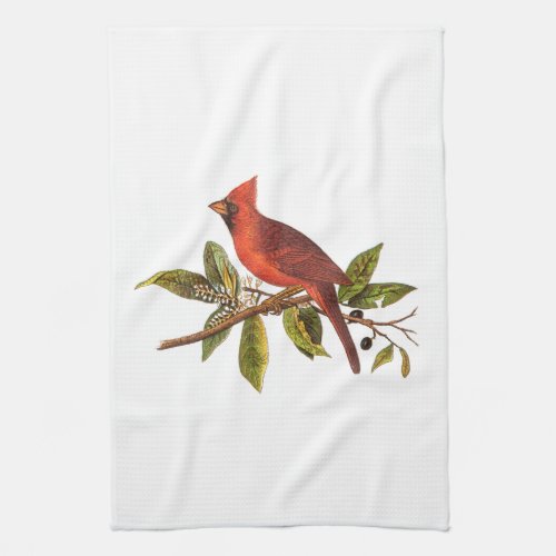 Vintage Cardinal Song Bird Illustration _ 1800s Kitchen Towel