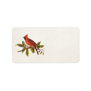 Vintage Cardinal Song Bird Illustration - 1800's Label