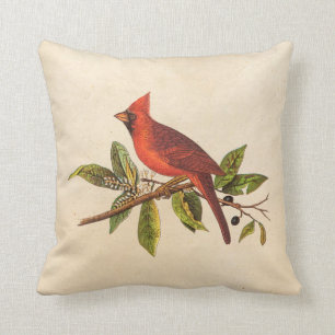 Vintage Cardinal Song Bird Illustration - 1800's Throw Pillow