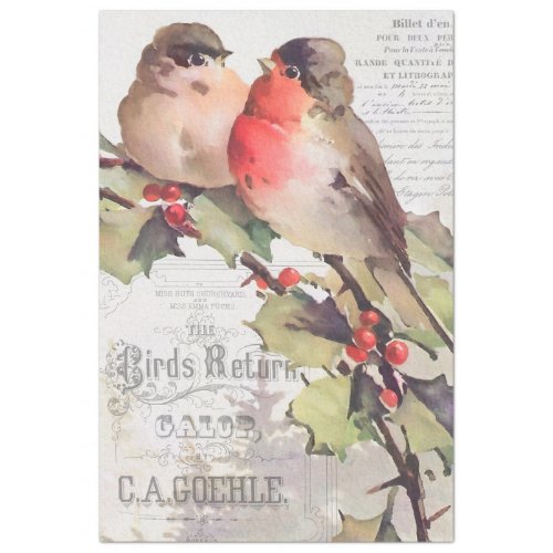 Vintage Cardinals with Ephemera Decoupage Tissue P Tissue Paper