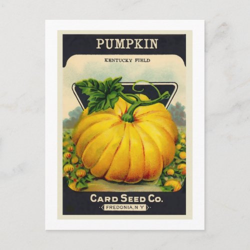 Vintage Cards Pumpkin Seed Package Postcard
