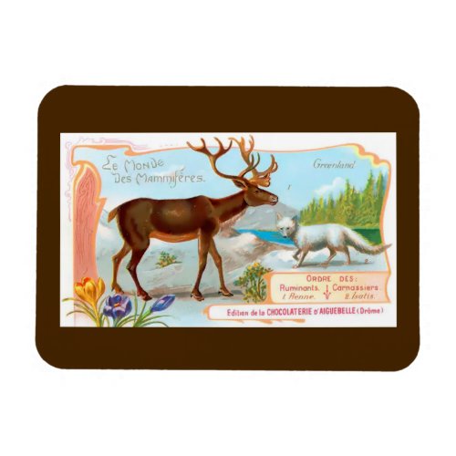 Vintage Caribou Reindeer and Arctic Fox Magnet