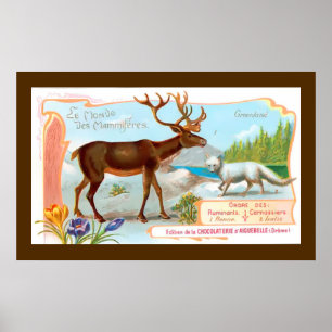 Vintage Caribou (Reindeer) and Arctic Fox Poster