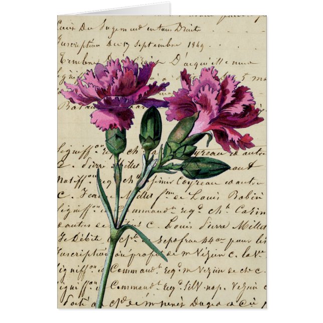 vintage carnation cards (Front)