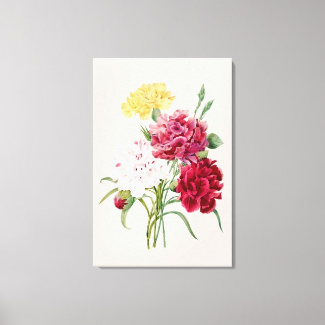 Vintage Carnation Flowers Print  (Front)
