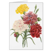 Vintage Carnations Dianthus Garden Flowers Redoute (Front)