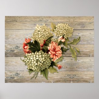 Vintage Carnations Hydrangeas, Aged Barnwood Poster