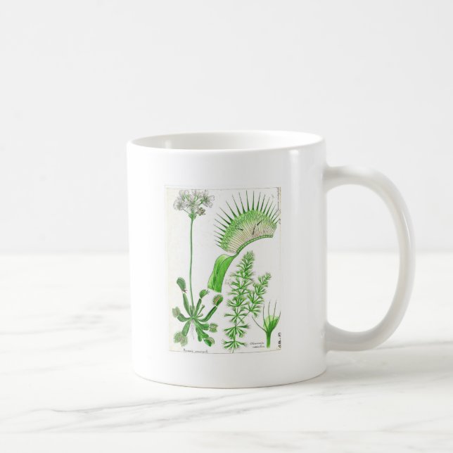 Vintage Carnivorous Plant Print Coffee Mug (Right)