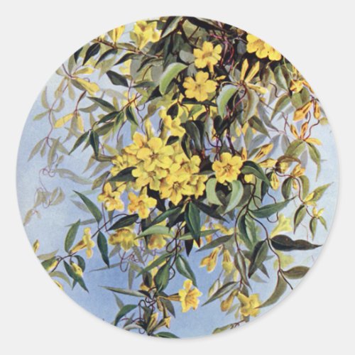 Vintage Carolina Jessamine Yellow Flowers Floral Classic Round Sticker