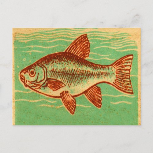 Vintage Carp Fish Illustration Postcard