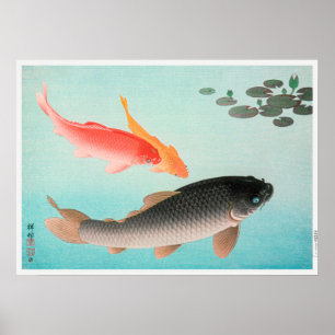 Vintage Carp Illustration Poster