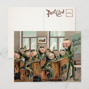 Vintage Carrots in School Postcard 