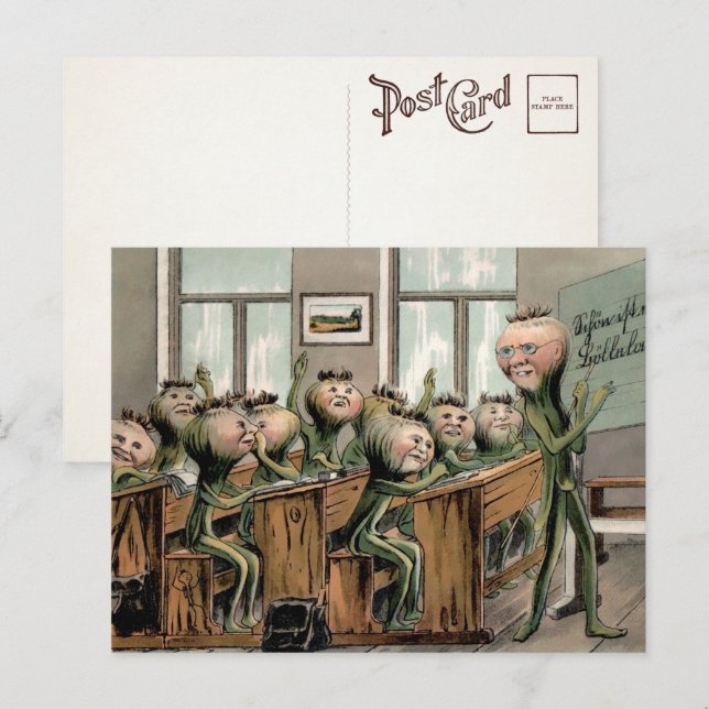 Vintage Carrots in School Postcard  (Front/Back)